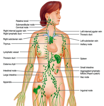 Andrew Brown - Westwood Therapies